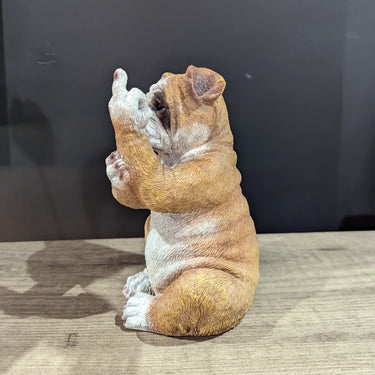 Naughty Bulldog