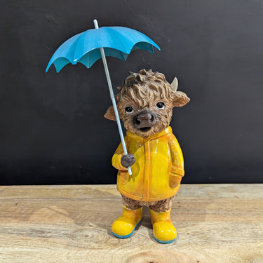 Highland Cow In The Rain