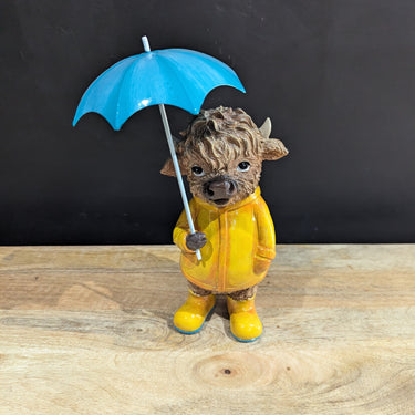 Highland Cow In The Rain