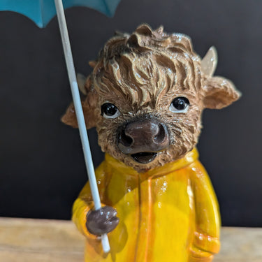 Highland Cow In The Rain
