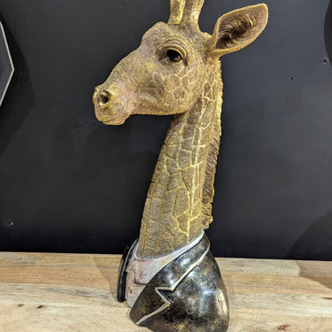Giraffe Bust