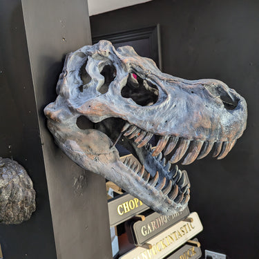 Extra Large T-rex Skull Wall Head