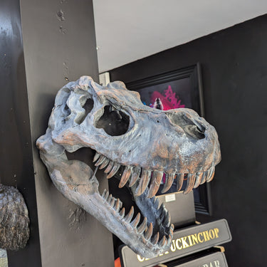Extra Large T-rex Skull Wall Head