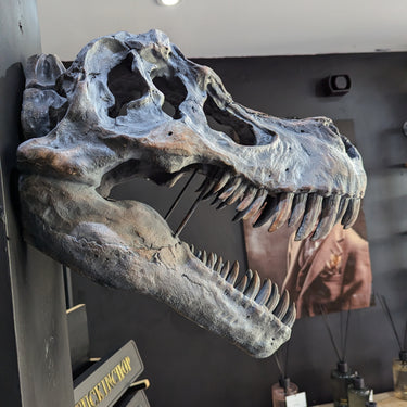 Extra Large T-rex Skull Wall Head