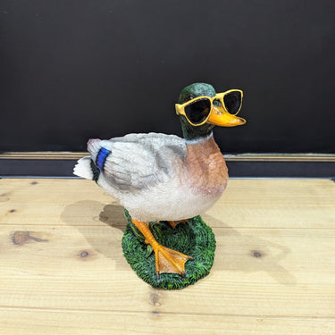 Duck In Shades