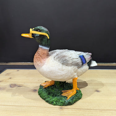 Duck In Shades