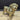 Pug Jigsaw Dog