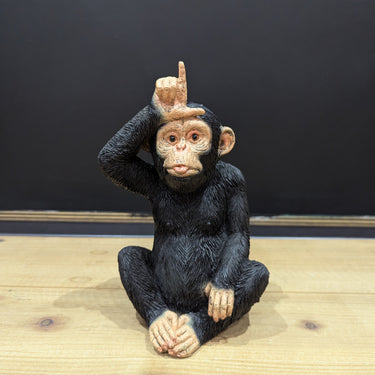Little Loser Monkey