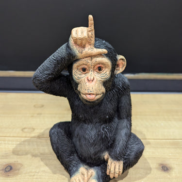Little Loser Monkey
