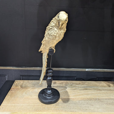 Gold Parrot on Perch Figure