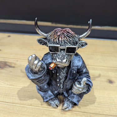 Naughty Highland Cow