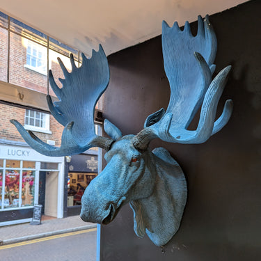 Electric Blue Moose Wall Head