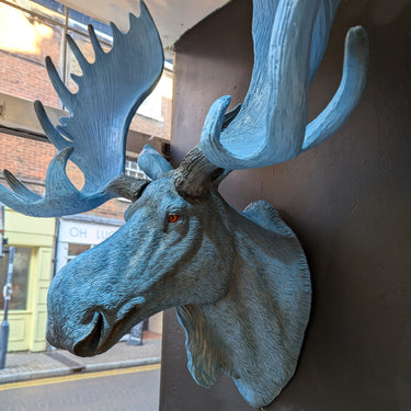 Electric Blue Moose Wall Head