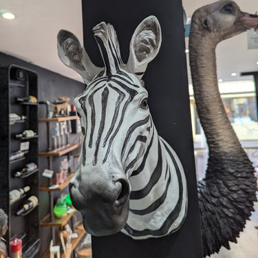 Zebra Head Wall Art