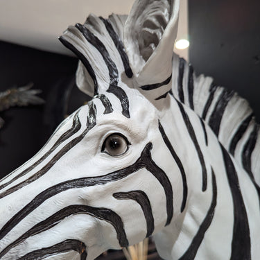 Zebra Head Wall Art
