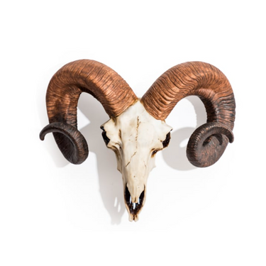 "NATURAL" RAM SKULL WALL HEAD