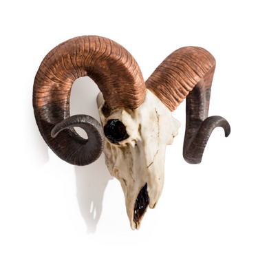 "NATURAL" RAM SKULL WALL HEAD