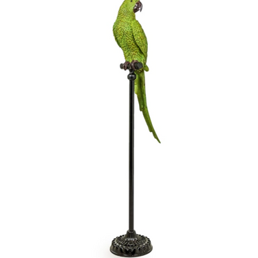 Large Green Parrot on Floor Standing Perch