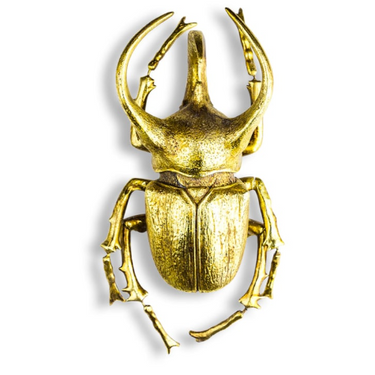 Extra Large Gold Beetle Wall Decor
