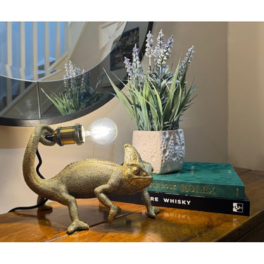 Chameleon Table / Desk Lamp