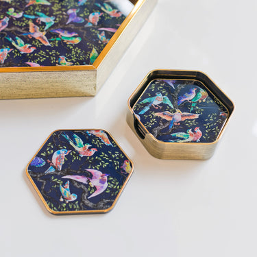 Birdity Absurdity Hexagonal Coasters