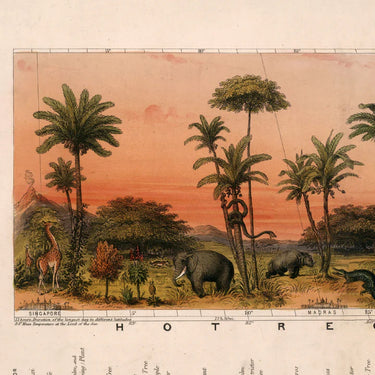 View Of Nature In All Climates - From The Equator To The Arctic Circle