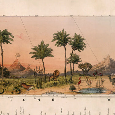 View Of Nature In All Climates - From The Equator To The Arctic Circle
