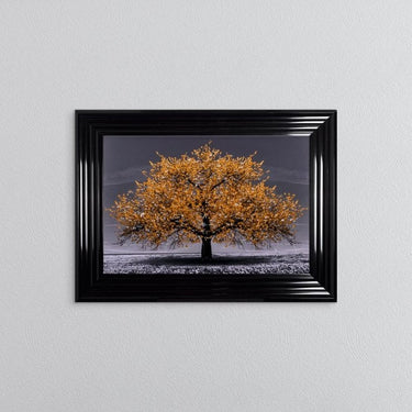 Orange Cherry Tree Framed Wall Art