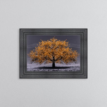 Orange Cherry Tree Framed Wall Art