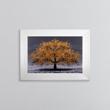 Orange Cherry Tree Framed Wall Art